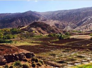 Three Famous Valleys of the Atlas Mountains From Marrakech